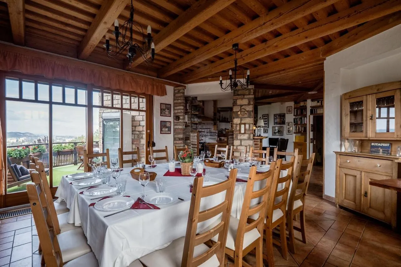 Private Villa With Indoor Pool Budapest